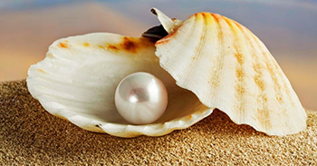 Las perlas tienen una larga historia